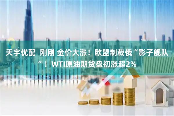 天宇优配  刚刚 金价大涨！欧盟制裁俄“影子舰队”！WTI原油期货盘初涨超2%