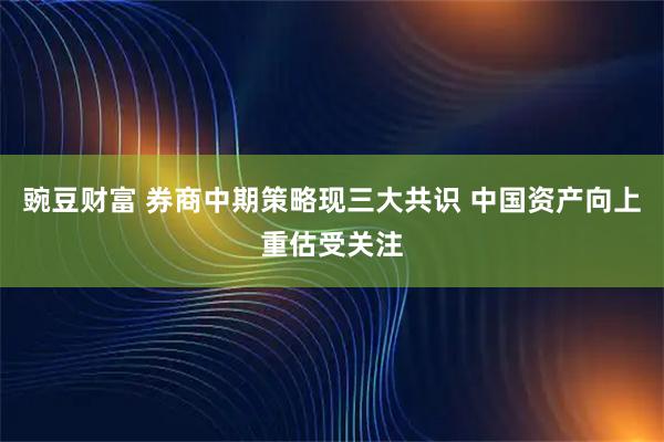 豌豆财富 券商中期策略现三大共识 中国资产向上重估受关注