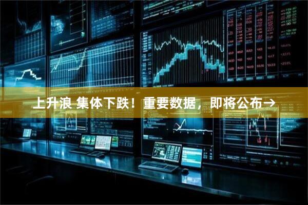 上升浪 集体下跌！重要数据，即将公布→
