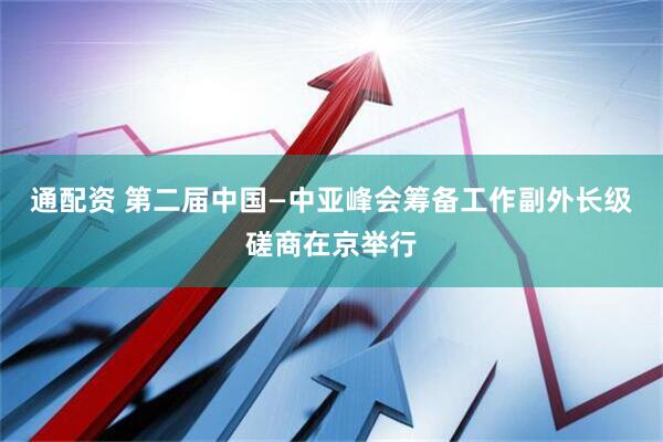 通配资 第二届中国—中亚峰会筹备工作副外长级磋商在京举行